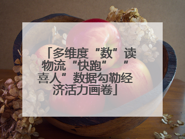 多维度“数”读物流“快跑” “喜人”数据勾勒经济活力画卷