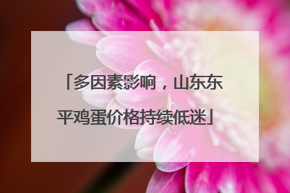 多因素影响，山东东平鸡蛋价格持续低迷