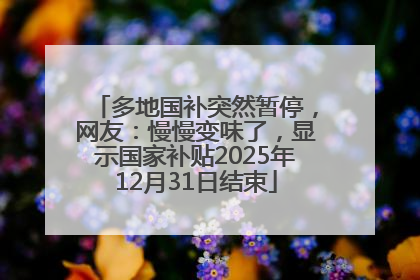 多地国补突然暂停，网友：慢慢变味了，显示国家补贴2025年12月31日结束