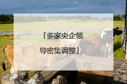 多家央企领导密集调整