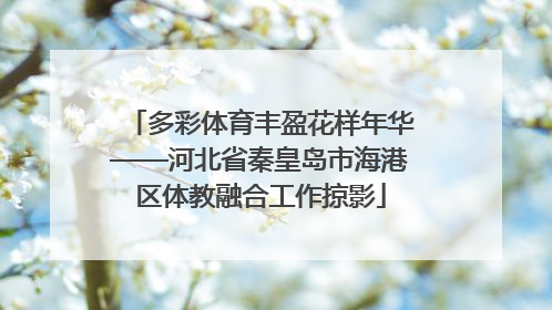 多彩体育丰盈花样年华——河北省秦皇岛市海港区体教融合工作掠影