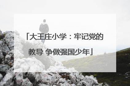 大王庄小学：牢记党的教导 争做强国少年