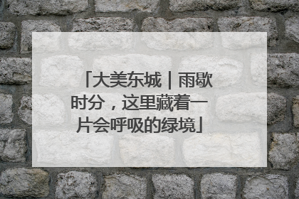 大美东城｜雨歇时分，这里藏着一片会呼吸的绿境