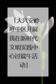 大兴安岭呼中区开展我在新时代文明实践中心过端午活动