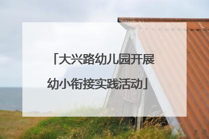 大兴路幼儿园开展幼小衔接实践活动