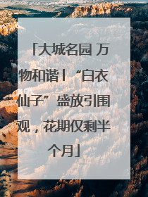 大城名园 万物和谐│“白衣仙子”盛放引围观，花期仅剩半个月