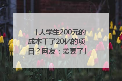 大学生200元的成本干了20亿的项目？网友：羡慕了