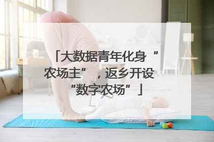 大数据青年化身“农场主”，返乡开设“数字农场”