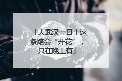 大武汉一日丨这条路会“开花”，只在晚上有