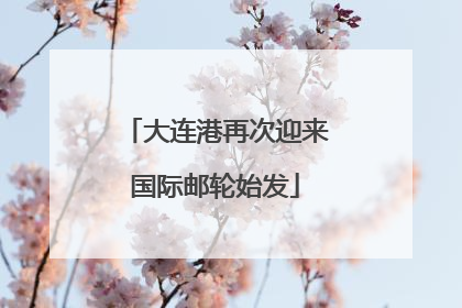 大连港再次迎来国际邮轮始发