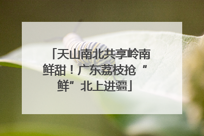 天山南北共享岭南鲜甜！广东荔枝抢“鲜”北上进疆