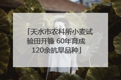 天水市农科所小麦试验田开镰 60年育成120余抗旱品种