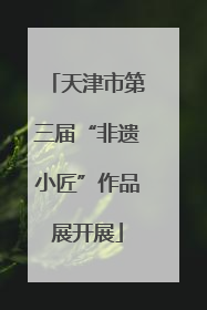 天津市第三届“非遗小匠”作品展开展