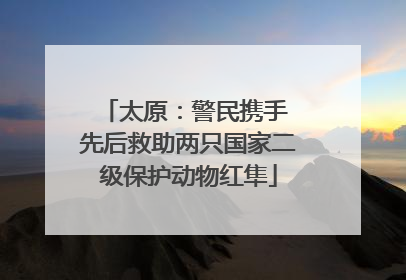 太原：警民携手 先后救助两只国家二级保护动物红隼