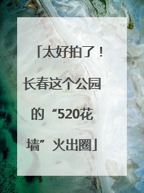 太好拍了！长春这个公园的“520花墙”火出圈