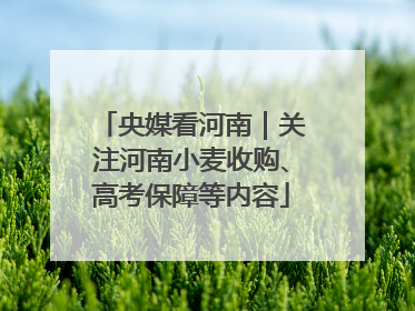 央媒看河南｜关注河南小麦收购、高考保障等内容