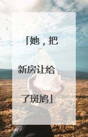 她，把新房让给了斑鸠