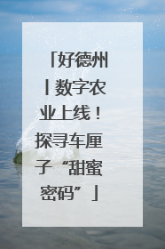 好德州丨数字农业上线！探寻车厘子“甜蜜密码”