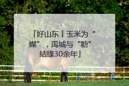 好山东丨玉米为“媒”，禹城与“糖”结缘30余年
