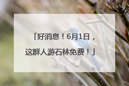 好消息！6月1日，这群人游石林免费！