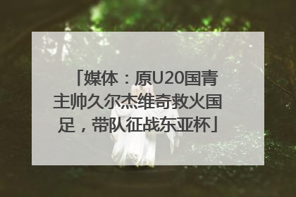 媒体：原U20国青主帅久尔杰维奇救火国足，带队征战东亚杯