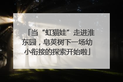 当“虹猫娃”走进淮东园，皂荚树下一场幼小衔接的探索开始啦