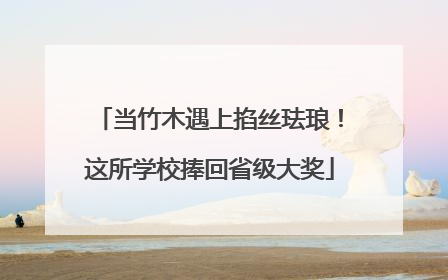当竹木遇上掐丝珐琅！这所学校捧回省级大奖
