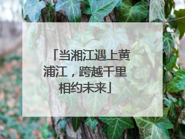当湘江遇上黄浦江，跨越千里相约未来