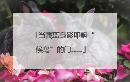 当藏蓝身影叩响“候鸟”的门……