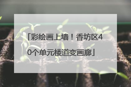 彩绘画上墙！香坊区40个单元楼道变画廊