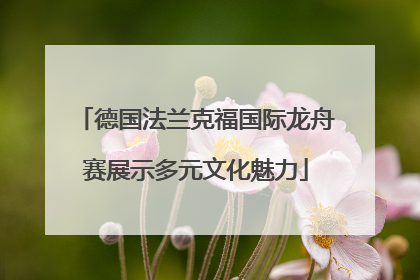 德国法兰克福国际龙舟赛展示多元文化魅力