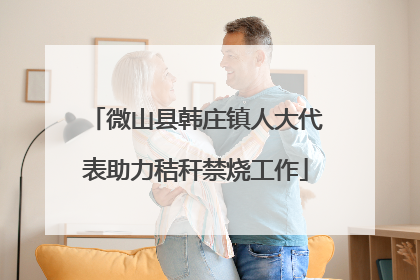 微山县韩庄镇人大代表助力秸秆禁烧工作