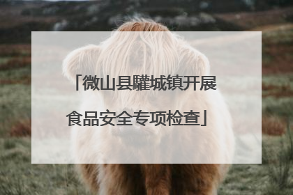 微山县驩城镇开展食品安全专项检查