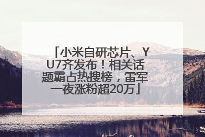 小米自研芯片、YU7齐发布！相关话题霸占热搜榜，雷军一夜涨粉超20万