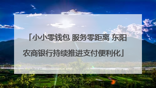 小小零钱包 服务零距离 东阳农商银行持续推进支付便利化