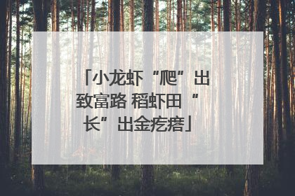 小龙虾“爬”出致富路 稻虾田“长”出金疙瘩