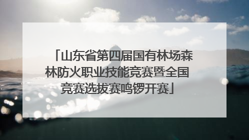 山东省第四届国有林场森林防火职业技能竞赛暨全国竞赛选拔赛鸣锣开赛