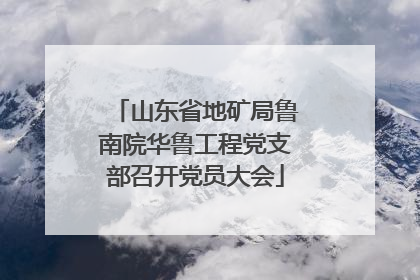 山东省地矿局鲁南院华鲁工程党支部召开党员大会