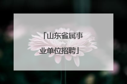 山东省属事业单位招聘