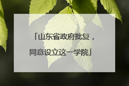 山东省政府批复，同意设立这一学院