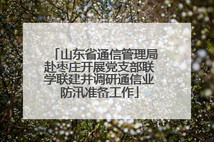 山东省通信管理局赴枣庄开展党支部联学联建并调研通信业防汛准备工作