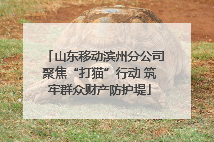 山东移动滨州分公司聚焦“打猫”行动 筑牢群众财产防护堤