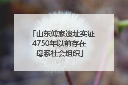山东傅家遗址实证4750年以前存在母系社会组织