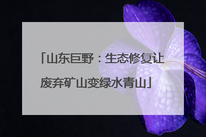 山东巨野：生态修复让废弃矿山变绿水青山