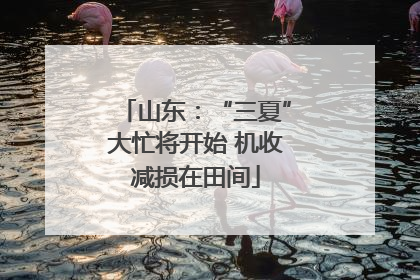 山东：“三夏”大忙将开始 机收减损在田间