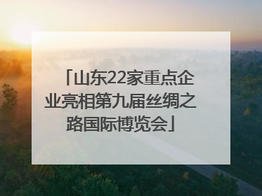 山东22家重点企业亮相第九届丝绸之路国际博览会