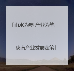 山水为墨 产业为笔——陕南产业发展走笔