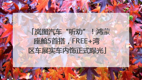 岚图汽车“听劝”！鸿蒙座舱5首搭，FREE+湾区车展实车内饰正式曝光