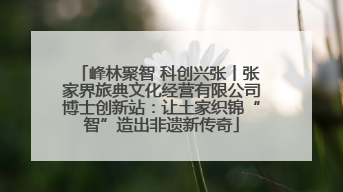 峰林聚智 科创兴张丨张家界旅典文化经营有限公司博士创新站：让土家织锦“智”造出非遗新传奇