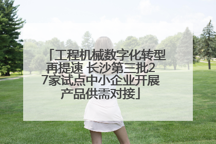工程机械数字化转型再提速 长沙第三批27家试点中小企业开展产品供需对接
